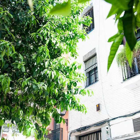 Alohamundi Cruz Verde Sevilla Eksteriør billede